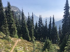 Maple Heather Trail, WA